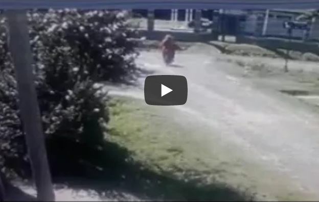 27067436_1661108997283910_8043783661002009797_n