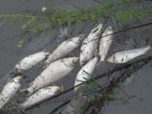 295594_4444907372149_736564991_n