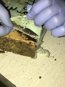 31195628_1928338634146123_2177924971739742208_n