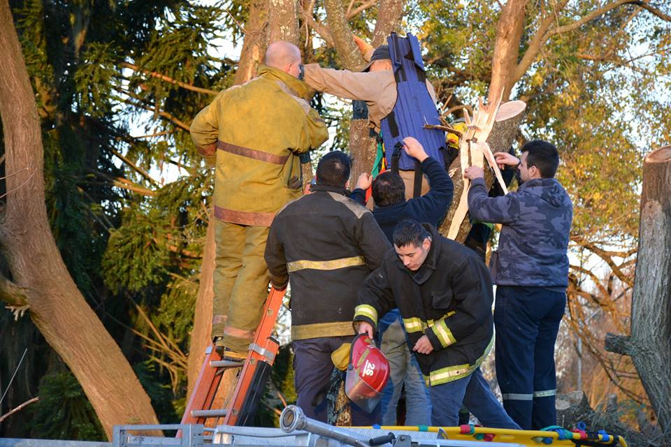 35464638_1955425404770779_5935225116047704064_n