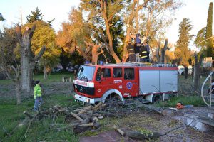 35476428_1955425261437460_161463441452695552_n