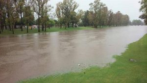 inundados-pergamini-verdad