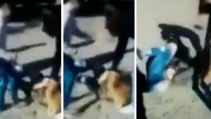 sin_txtulo_2_crop1529419439320.jpg_1734428432