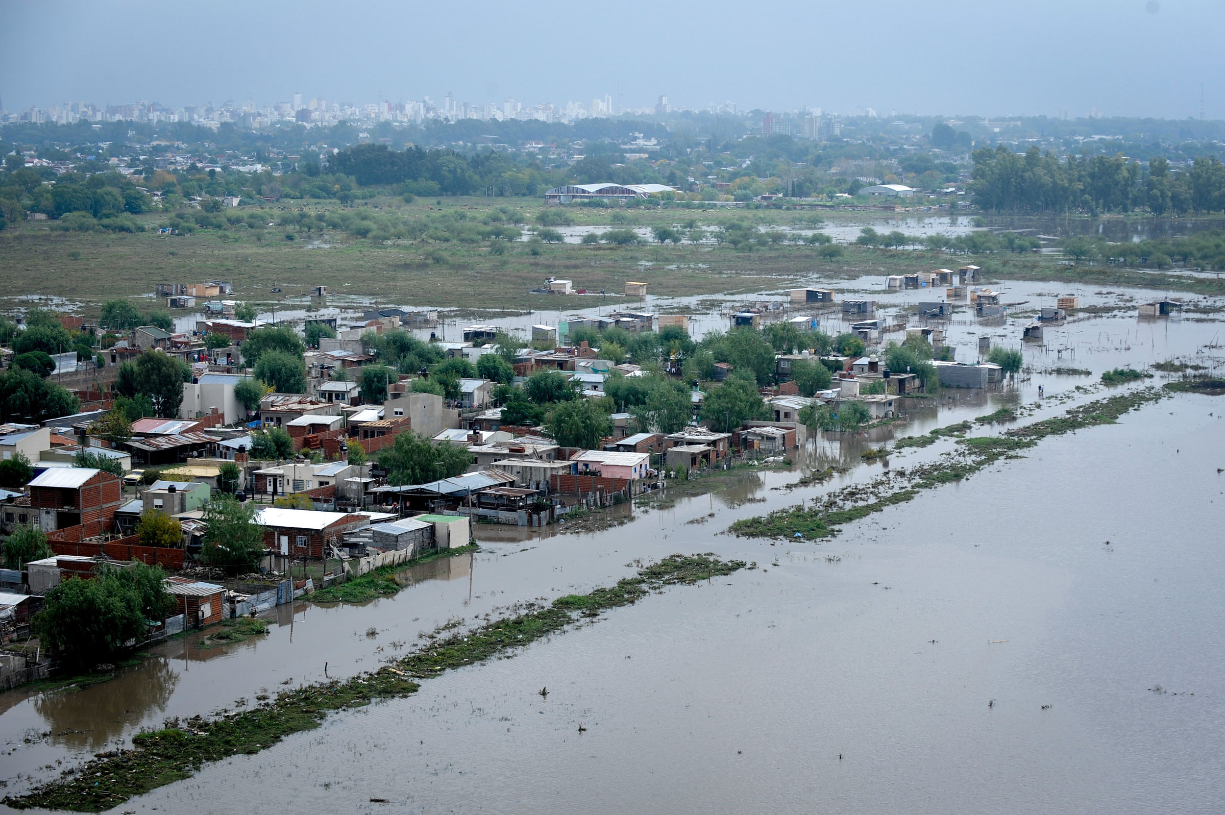 Cuidar de nuestros bosques para evitar inundaciones y cambio climático