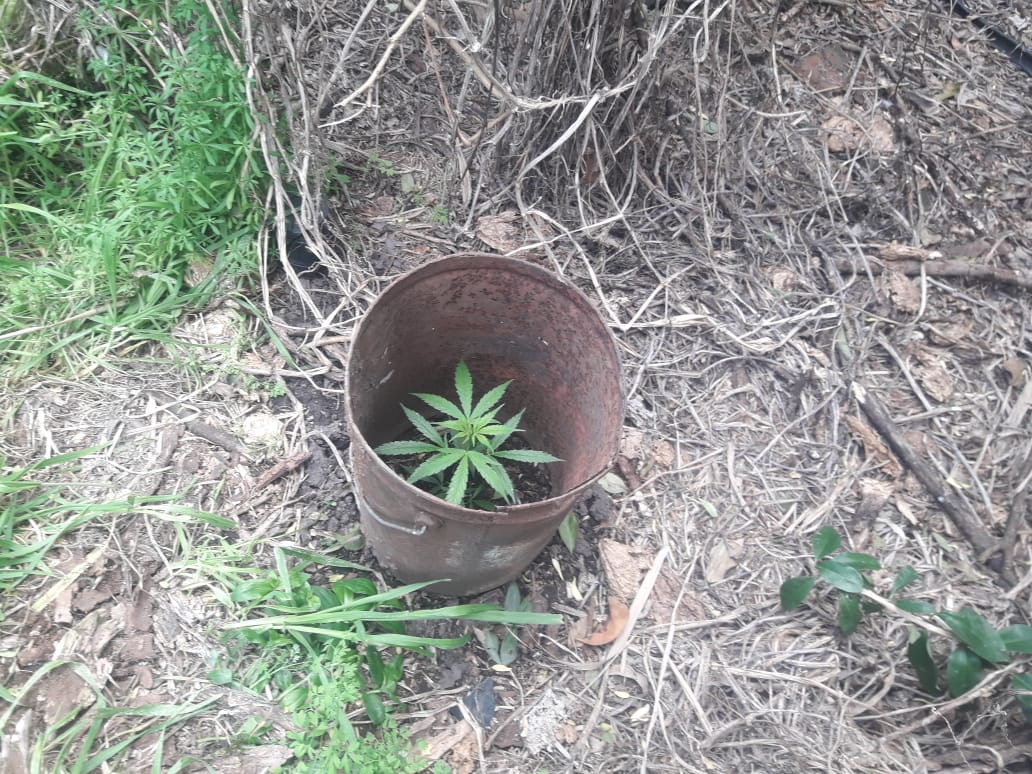 22a9e36a-2235-428e-9bc1-dc191432623b