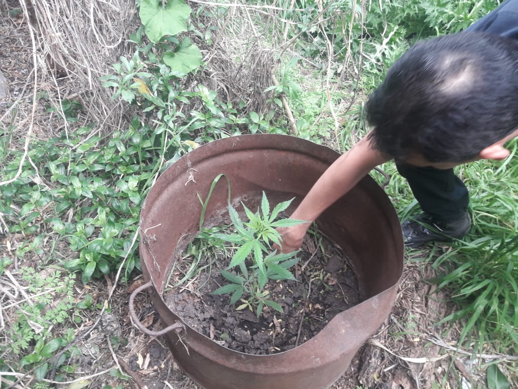 33c98ae8-431a-470a-8ca7-55a11412d85d