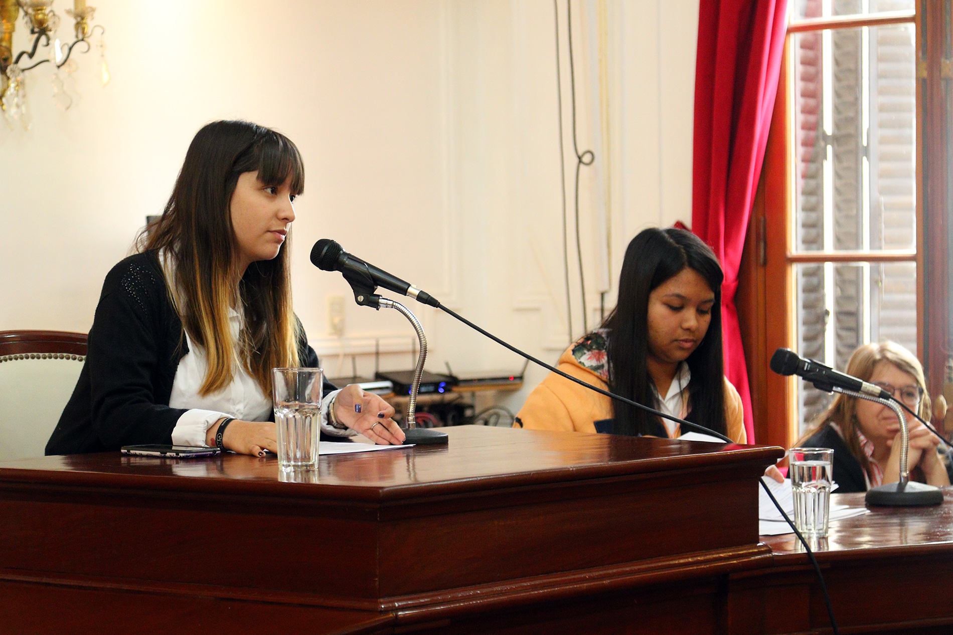 1º sesión Parlamento Estudiantil (10)