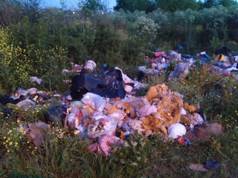 44057280_2197791653811888_6579089315568025600_n