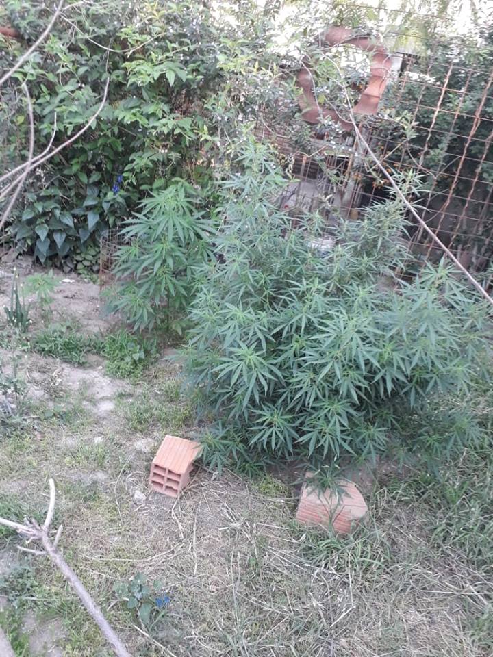 45558827_2064295307217121_6692669291919048704_n