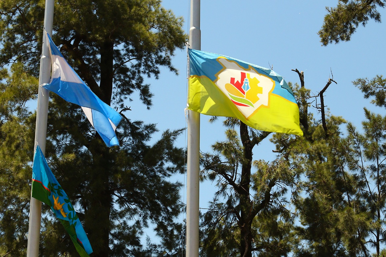 WhatsApp Image 2018-11-20 at 18.05.14