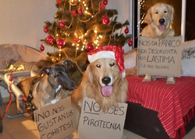 perros_navidad