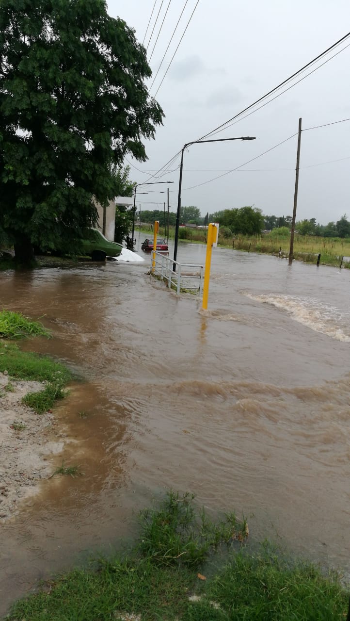 25cb532a-c150-411a-a694-236ccd1229a4