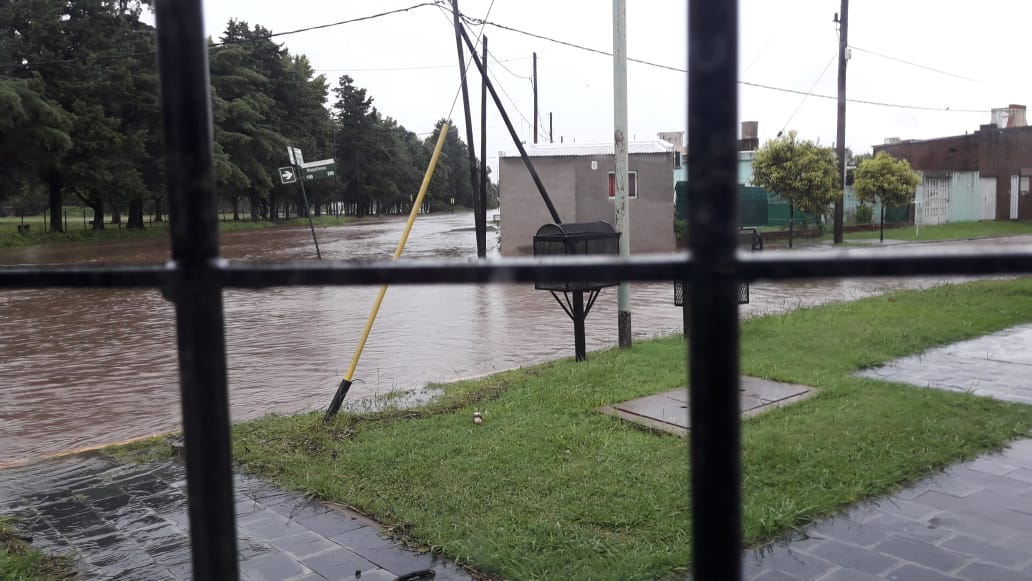 341e9901-1bca-4a03-a94f-86ceab735e54