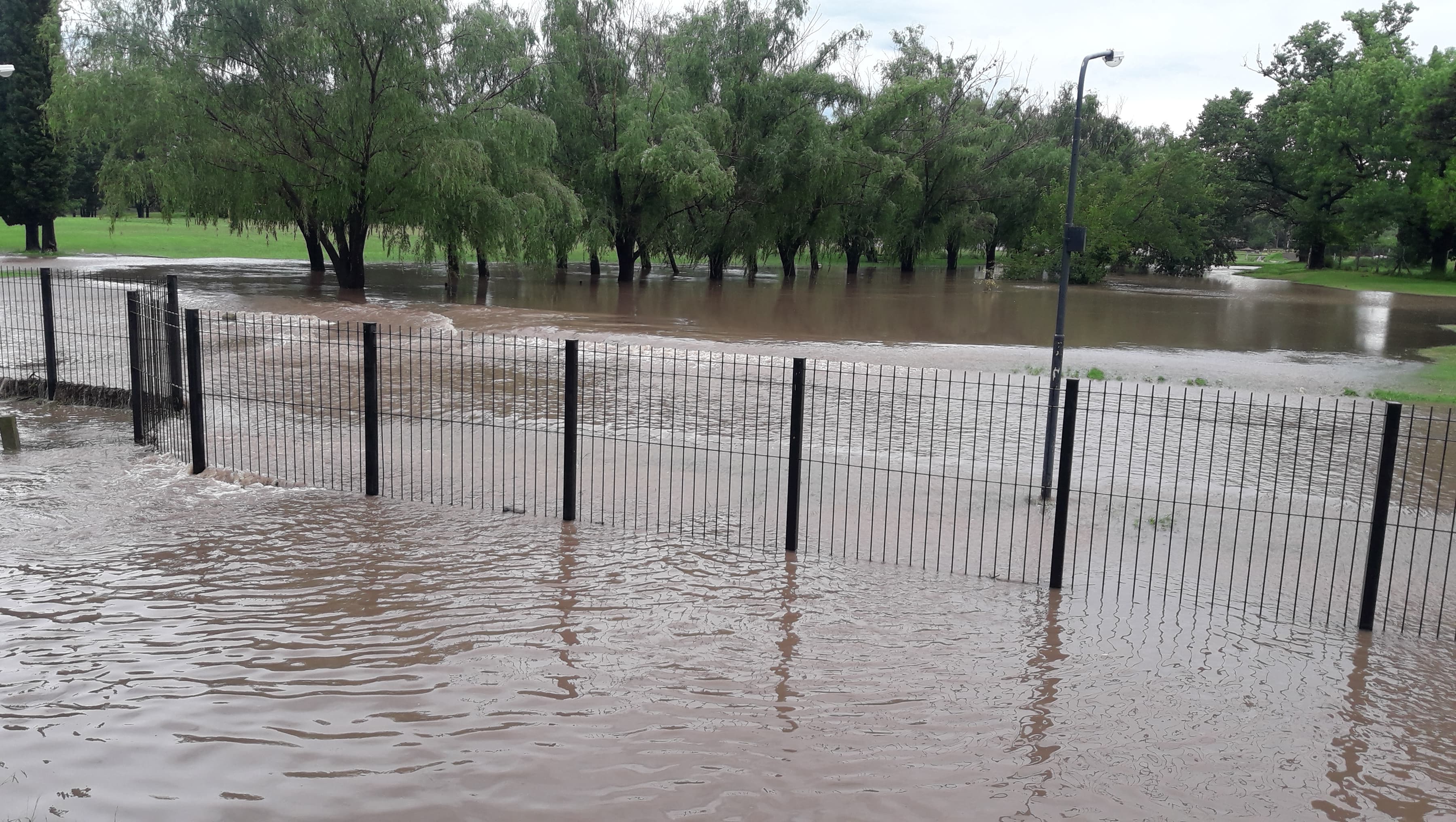 50839883_2207004962881775_6633758184752283648_n