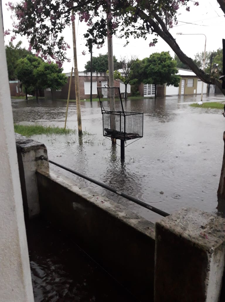 50865212_1974370342857946_7109255873813282816_n