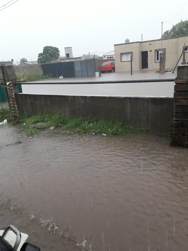 50905783_2253998288193978_3046735175695204352_n