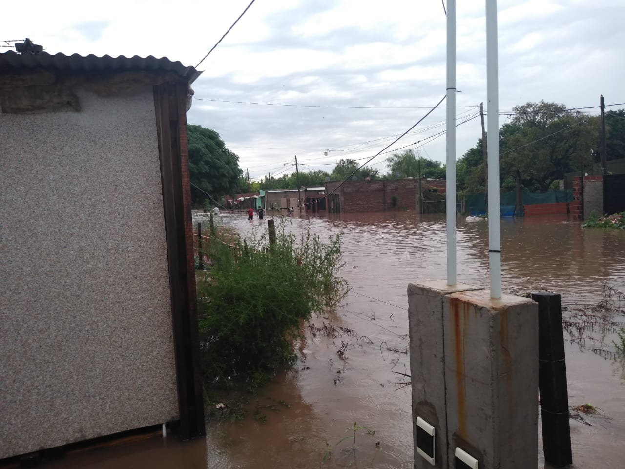 51041761_2438395946230544_1108294732817104896_n