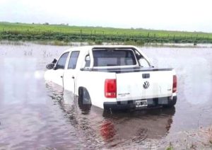 51064524_2115933158720002_6482920999196033024_n (1)