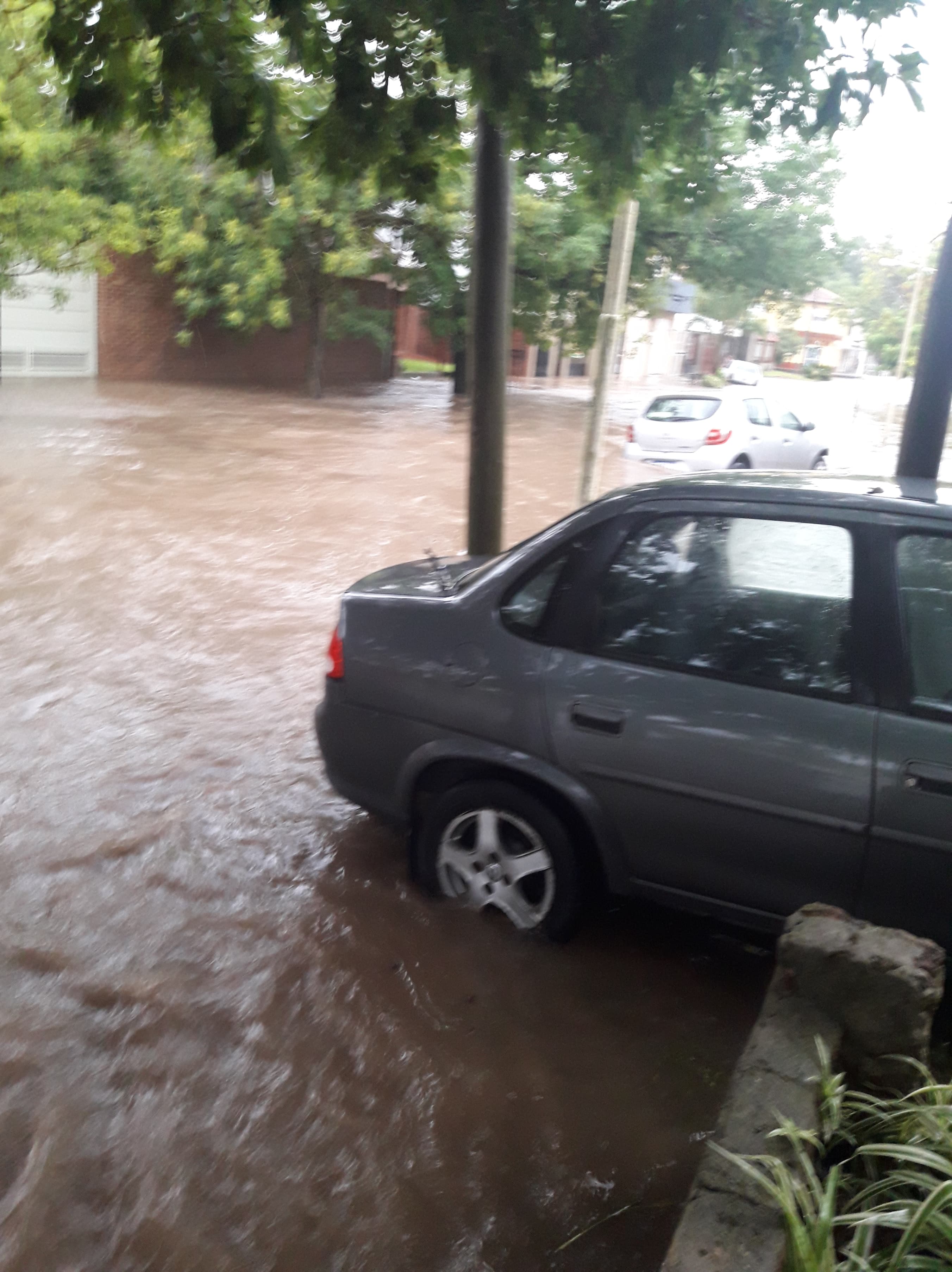 51199741_1875102429283306_3014574486352560128_n