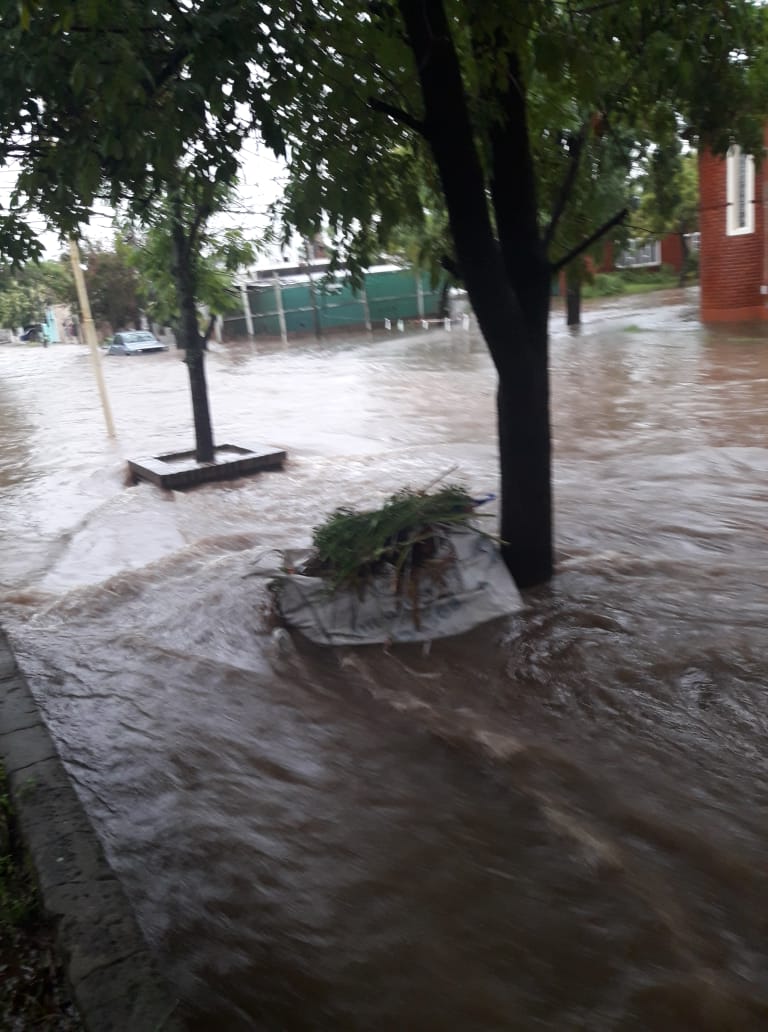 51300799_230989254475913_5899260052048445440_n