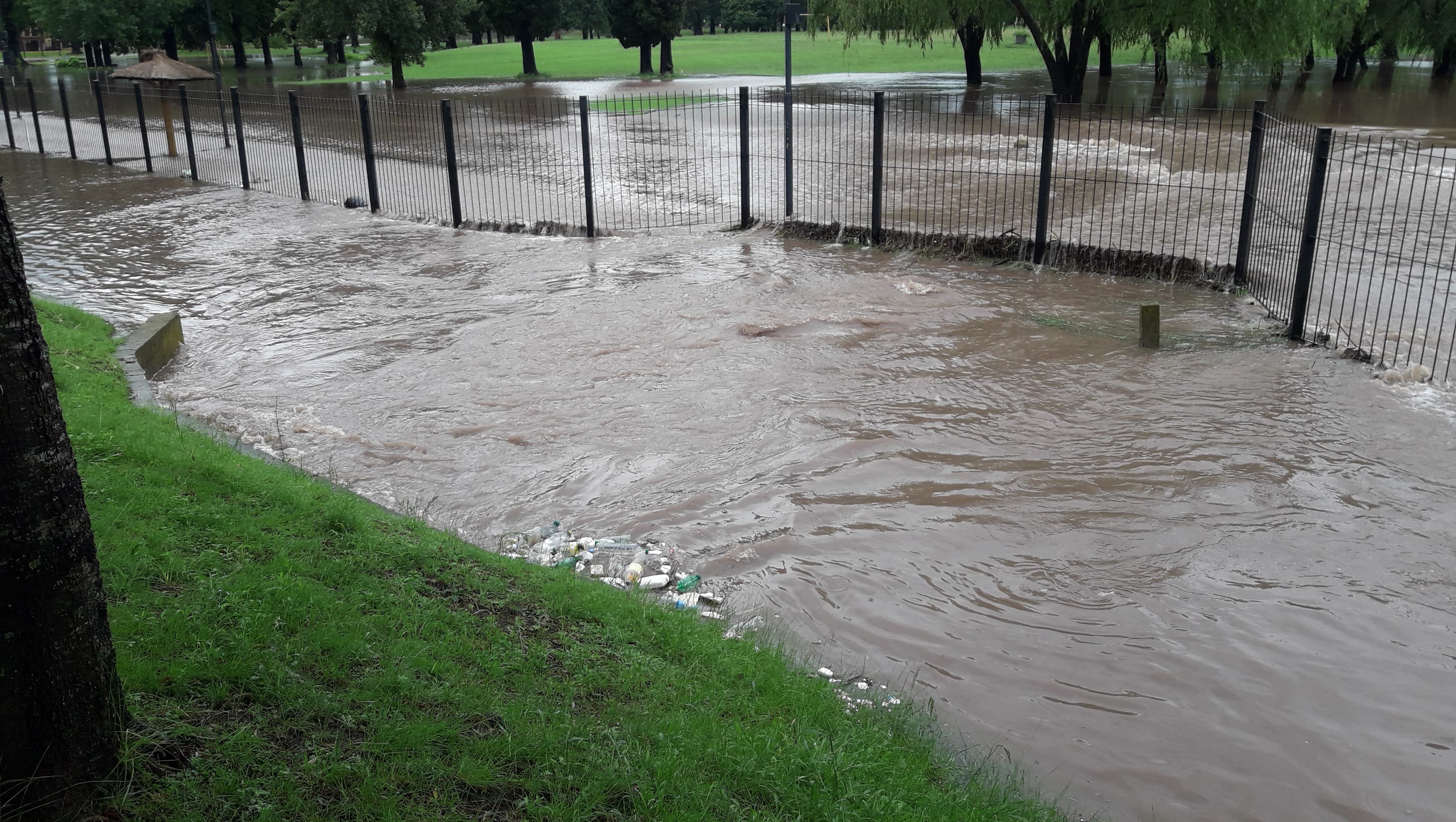 51429984_387385225328282_3267193768234713088_n