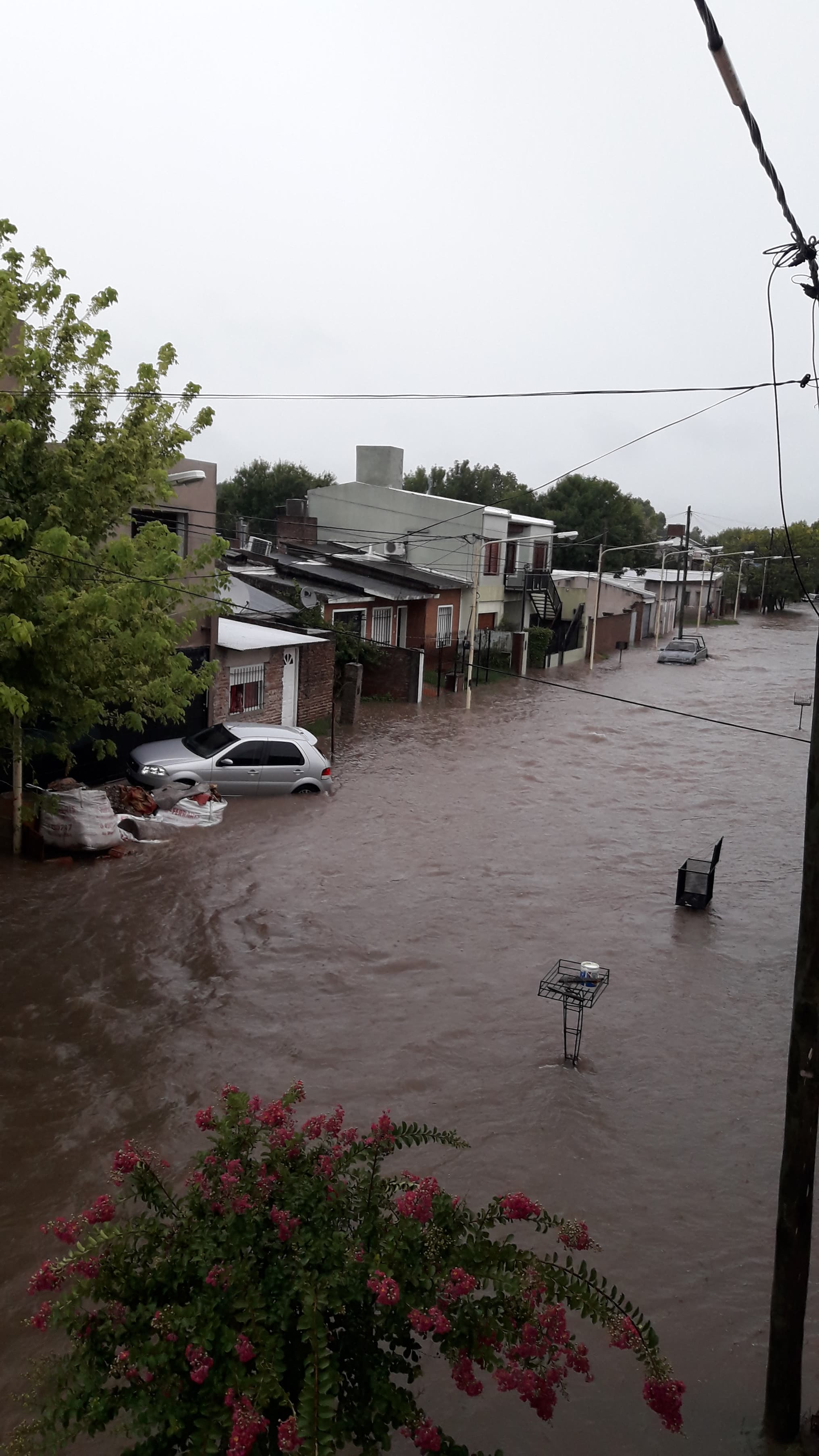 51432707_300659134138501_3869708109983252480_n