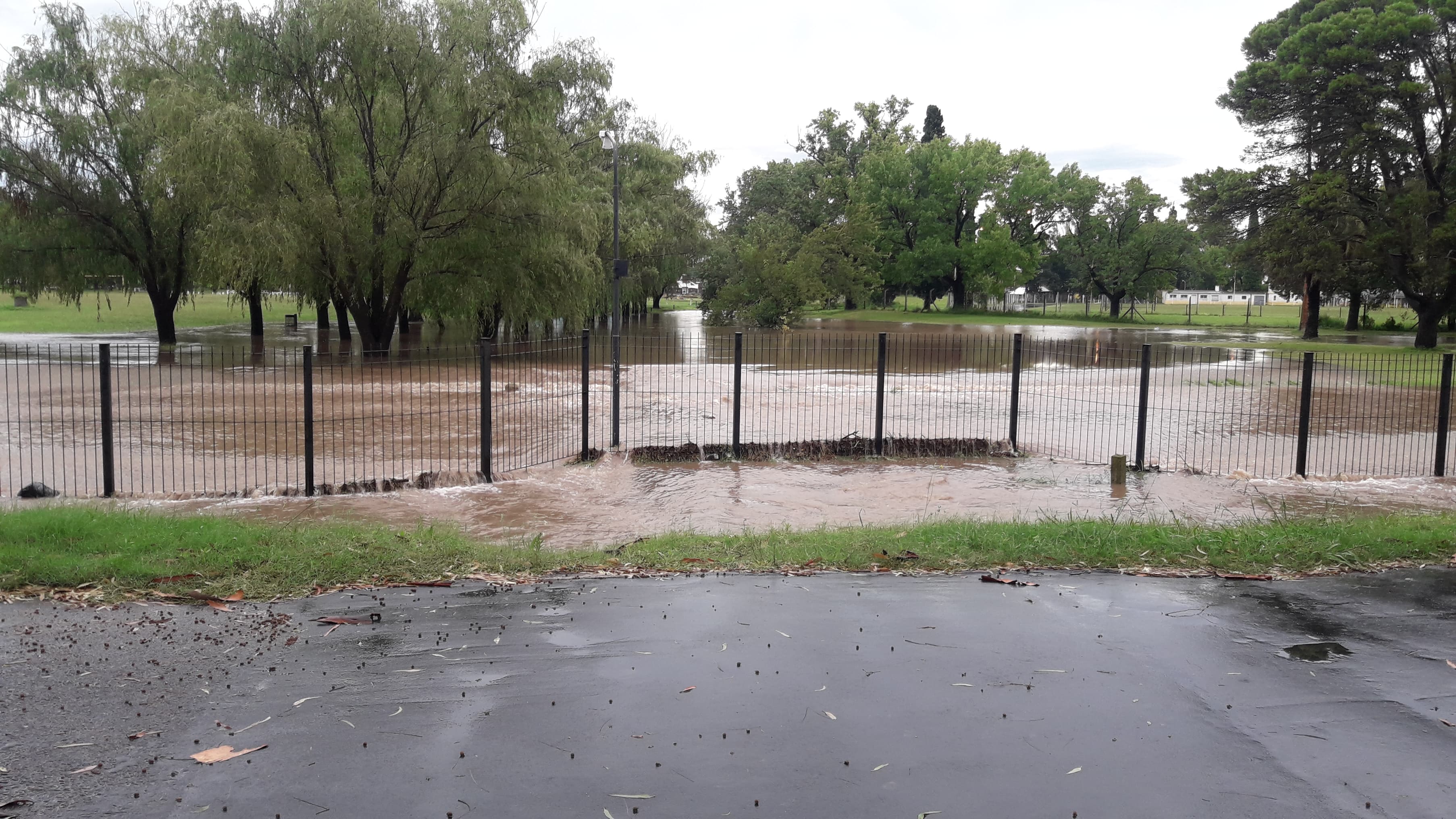 51500034_232136934358694_7977337574005932032_n