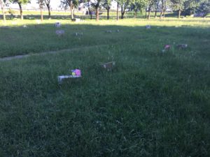 51432682_2222319847989948_169075772768649216_n