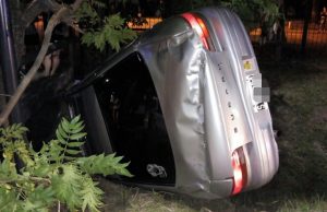 cf29779f-a2d3-4055-8cf4-fdf4db52daa6