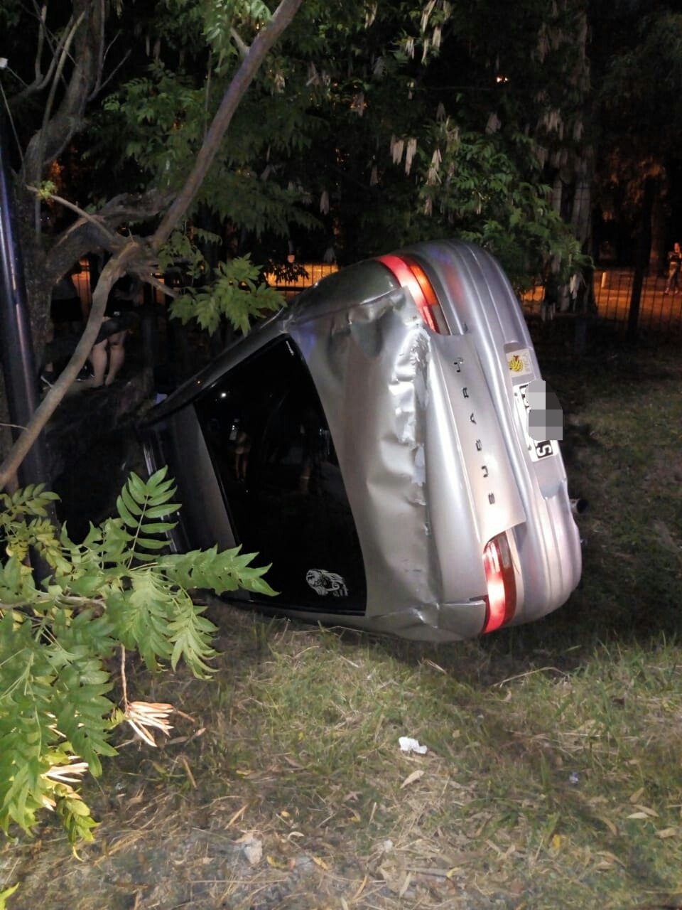 cf29779f-a2d3-4055-8cf4-fdf4db52daa6