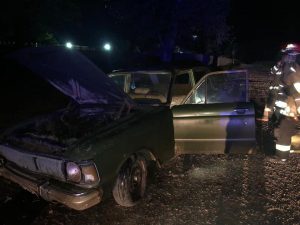 53518772_2888431534630885_7285793873085857792_n