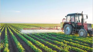 cc250917e006f06_crop1506334686039.jpg_258117318