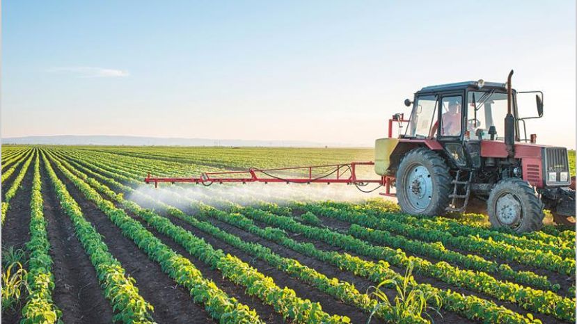 cc250917e006f06_crop1506334686039.jpg_258117318