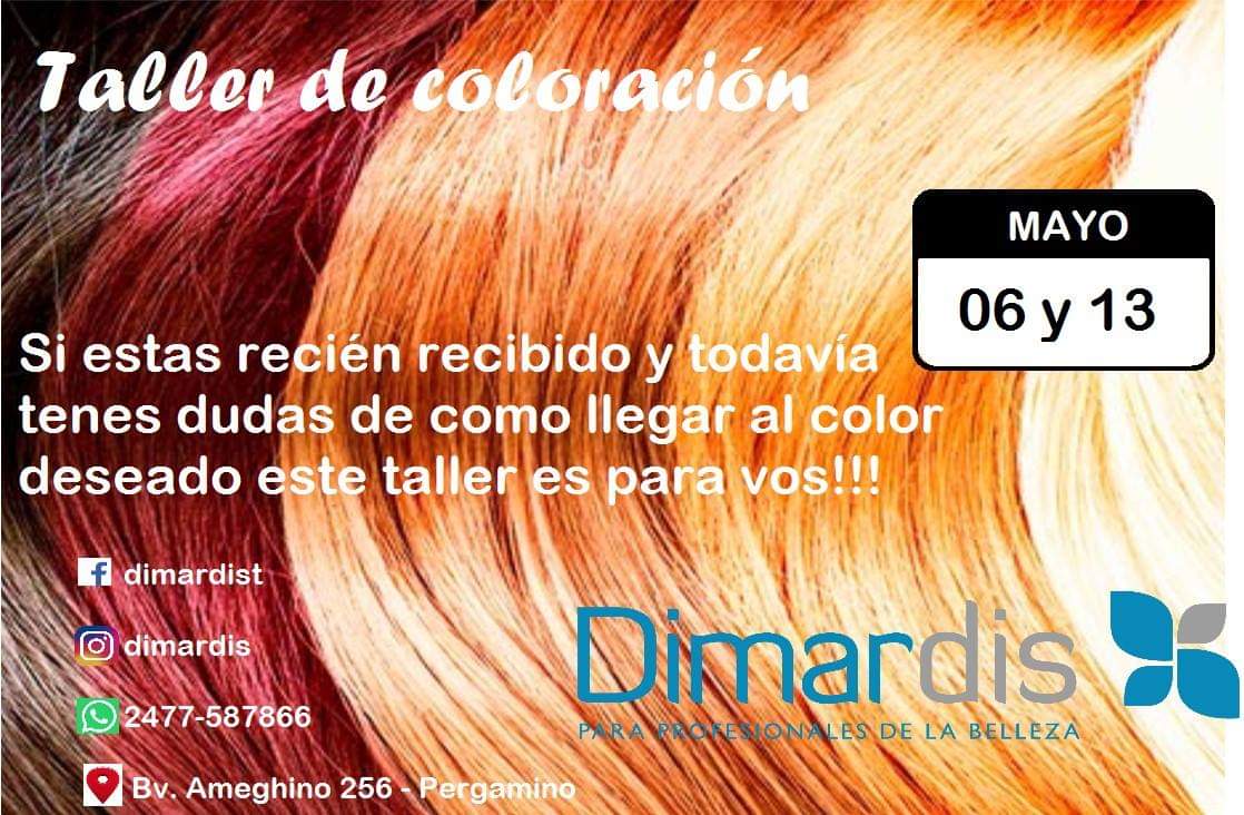 taller de coloracion