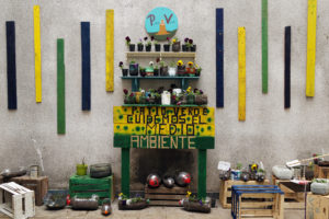 Día del Medio Ambiente (7)