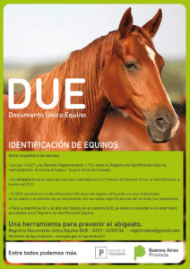 Identificación de equinos-01