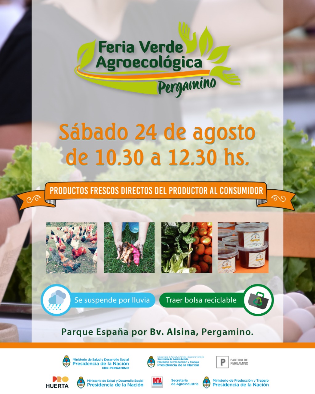 feria verde