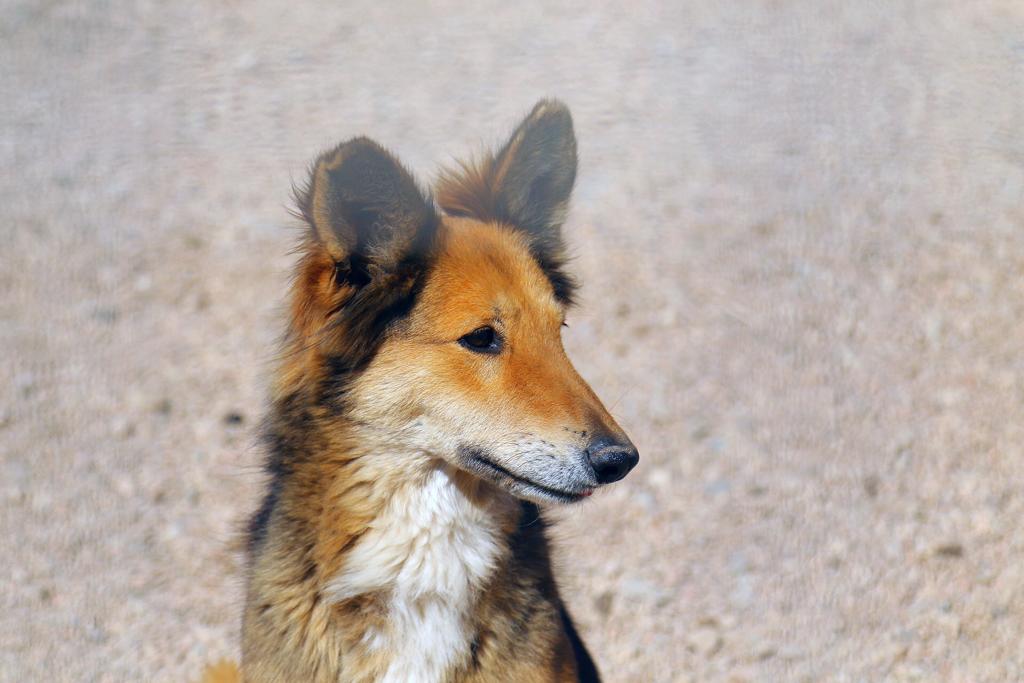 6e996447-767b-4328-8842-6246fe2453d0