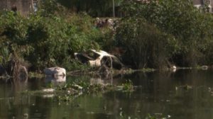 70826431_2561839210544213_7934152274845106176_n