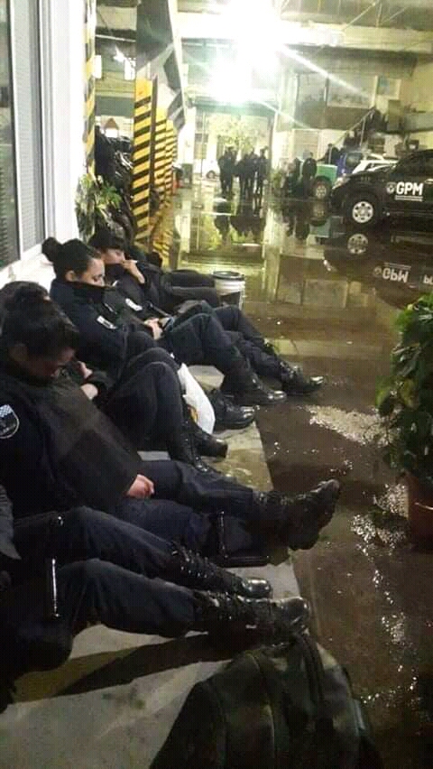 WhatsApp Image 2019-10-12 at 17.27.19