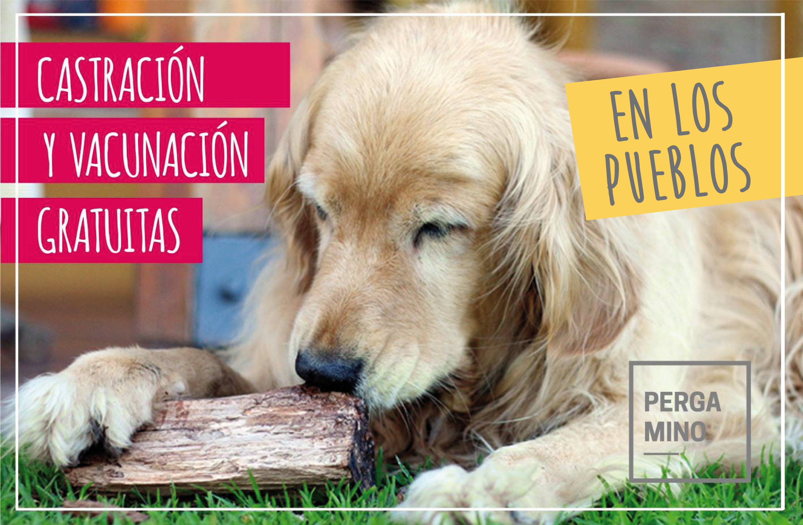 CASTRACION EN LOS PUEBLOS-01