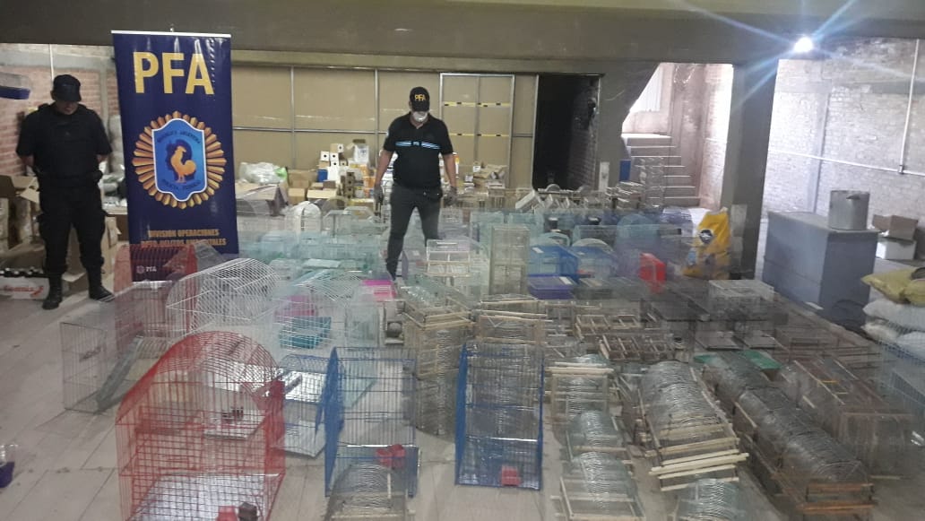 WhatsApp Image 2019-11-04 at 21.15.23 (2)