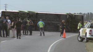 dos-medialunas-taza-cafe-platos-blancos-azucar-leche_13339-66941