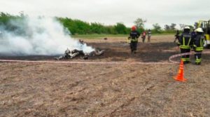 venado_tuerto_1.jpg_1956802537