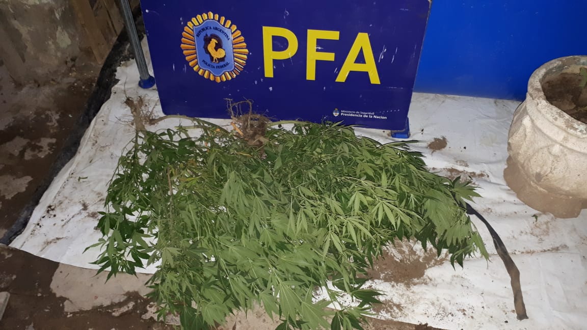 1d9b40a8-098f-4929-b130-bbd8e0a3bbe2