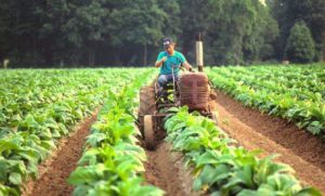 20180517131707_32751825_0_body