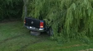 IMG-20200111-WA0003-768x1024