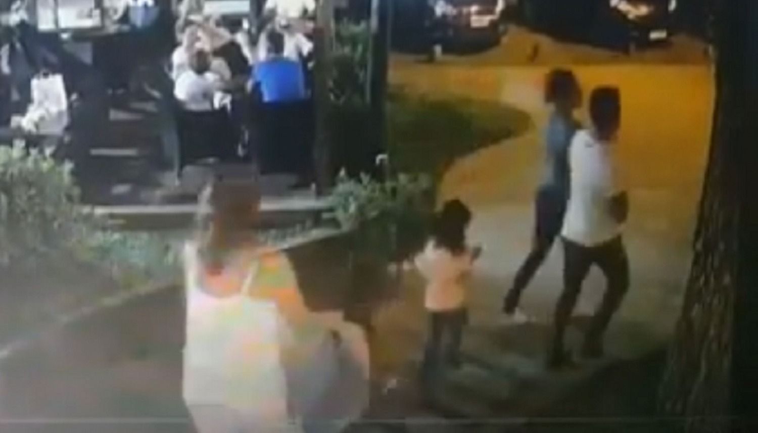 arbol-costa-del-este