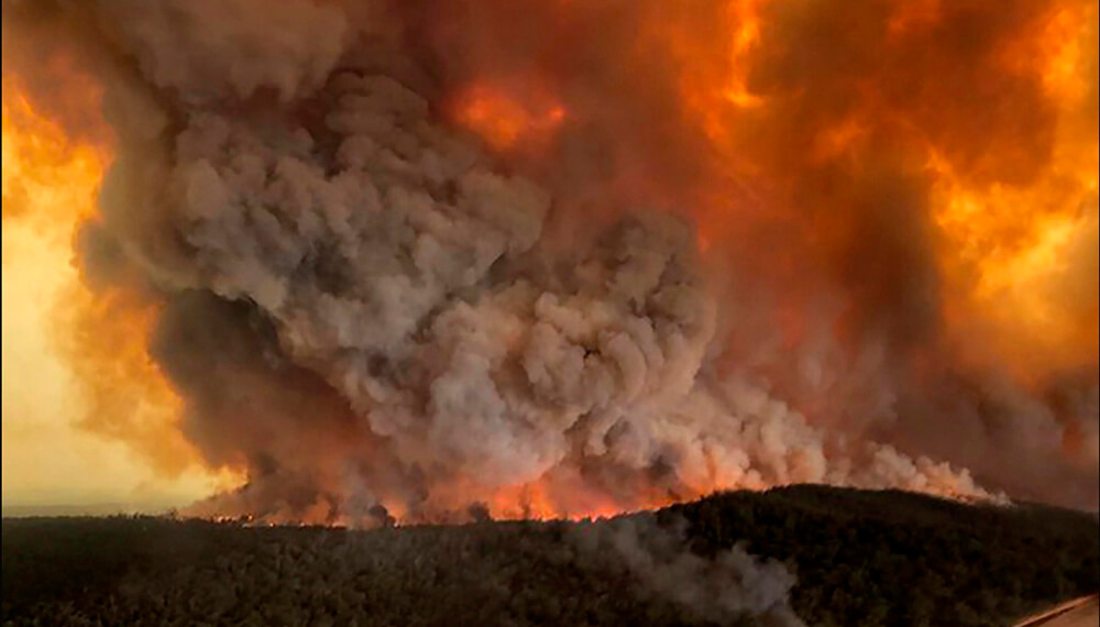 humo