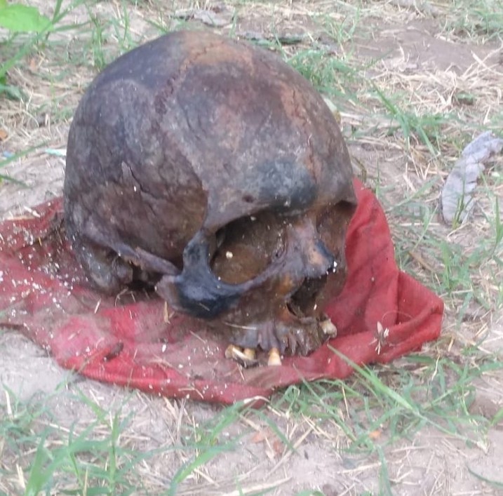 b1701972-7739-4a6f-b286-ba8b878514ef